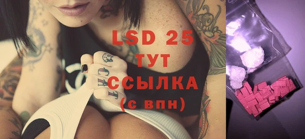 гашик Нефтекумск