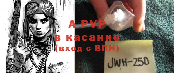 гашик Нефтекумск