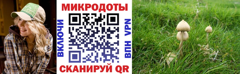 Псилоцибиновые грибы ЛСД Кандалакша