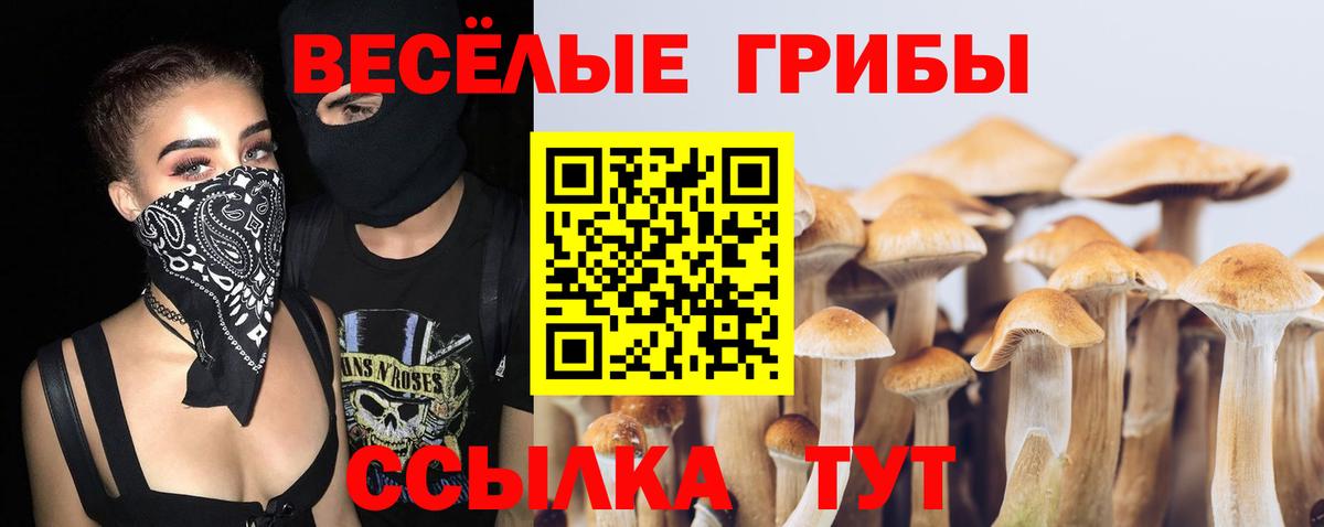 Псилоцибиновые грибы мухоморы Кандалакша