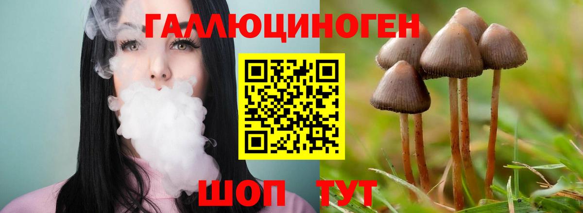 Псилоцибиновые грибы ЛСД  Вход с VPN  Кандалакша 